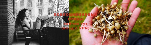 первитин Вязьма