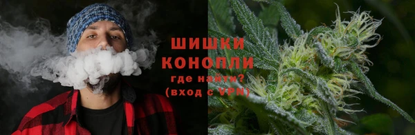 спиды Вяземский