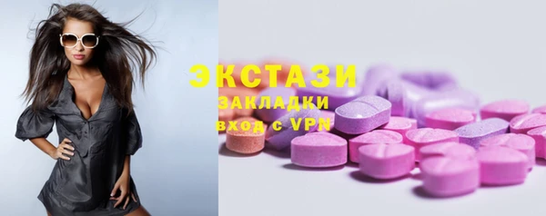 спиды Вяземский