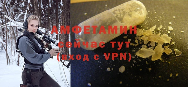 спиды Вяземский