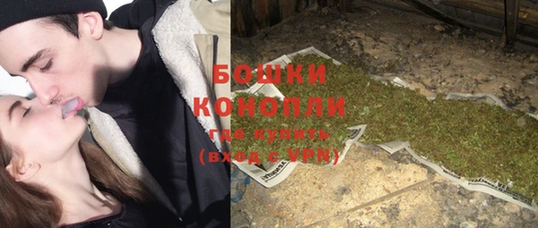 спиды Вяземский